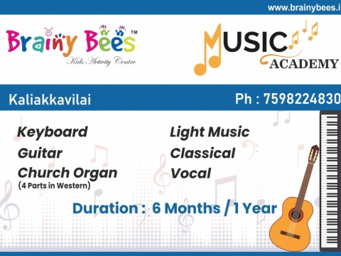 brainy bees music academy